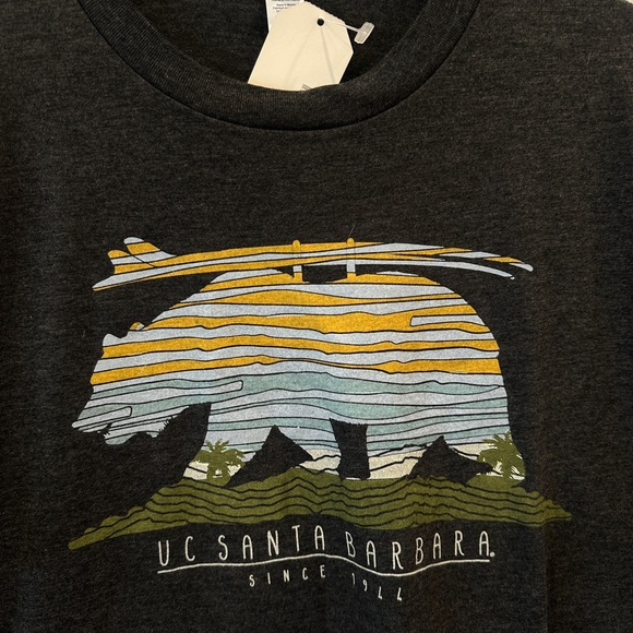 UC Santa Barbara Graphic T-Shirt - Gray - NWT - Picture 2 of 3